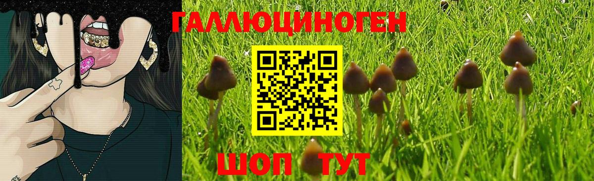 Псилоцибиновые грибы мухоморы  Вход с VPN  Карталы  Псилоцибиновые грибы Cubensis 